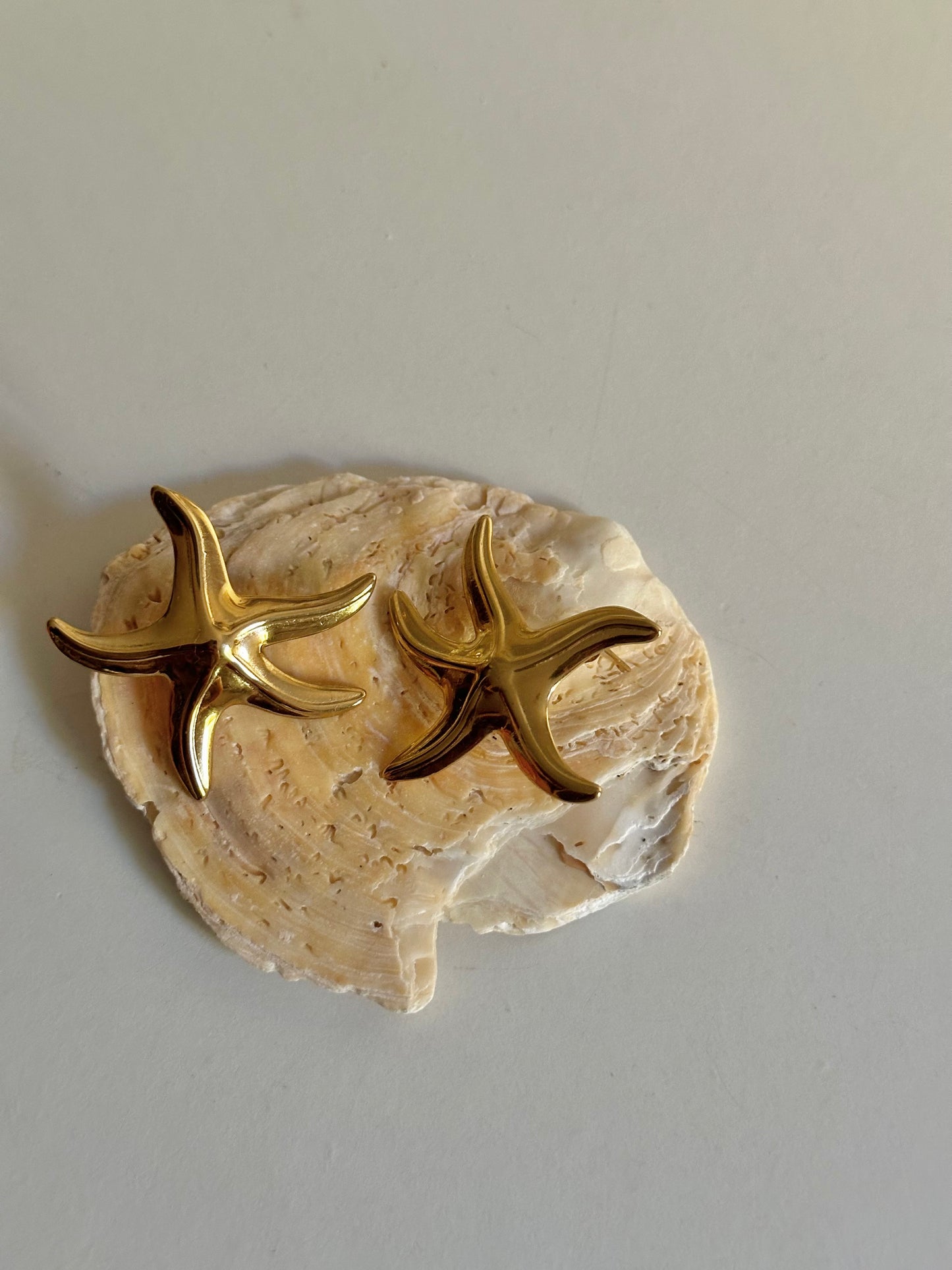 Pendientes Cinque Terre