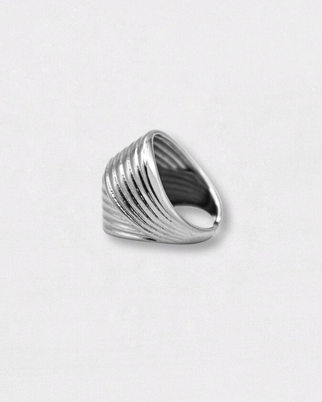 Anillo de acero inoxidable y plata