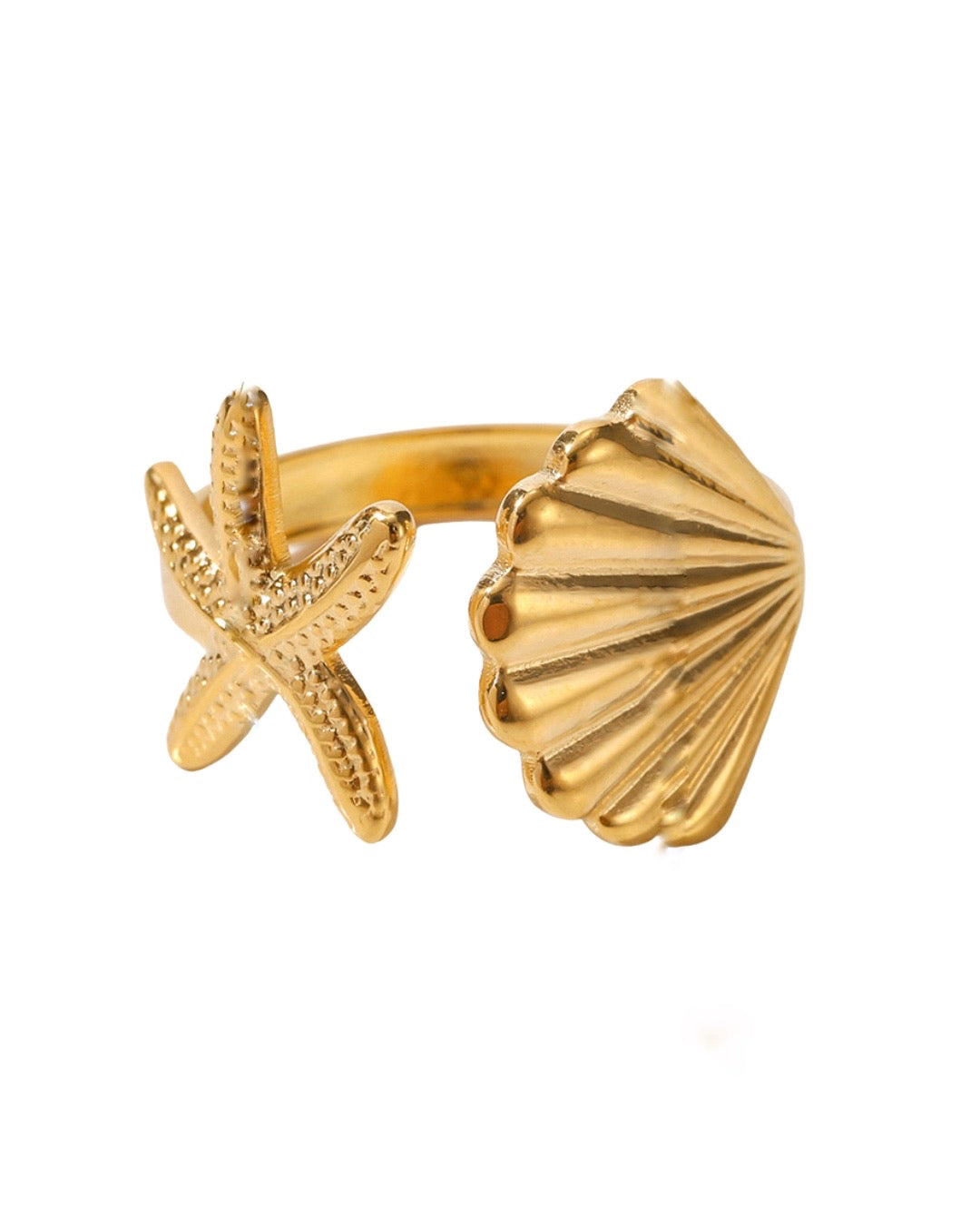 Anillo Arrecife