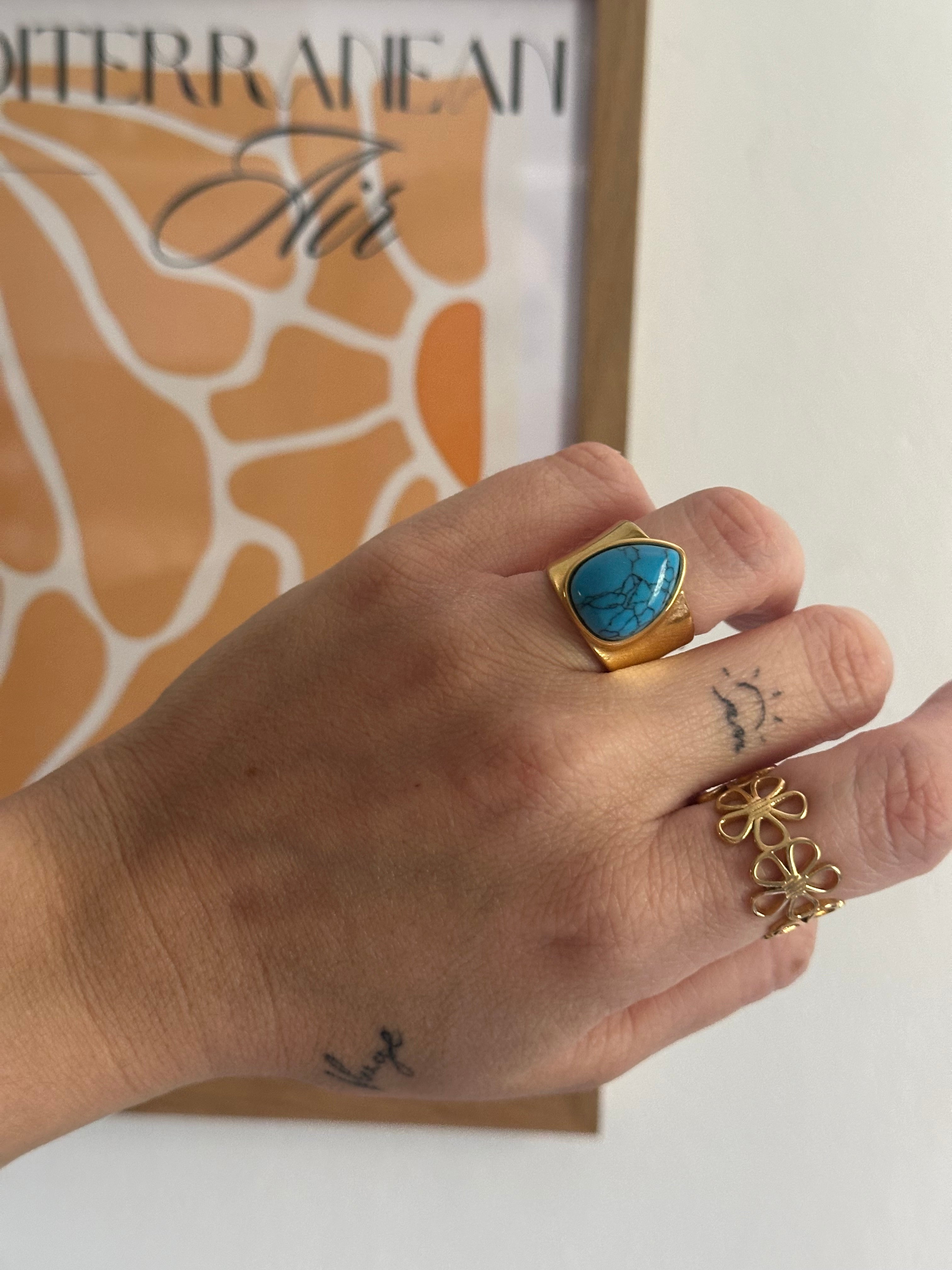 Anillo Darya