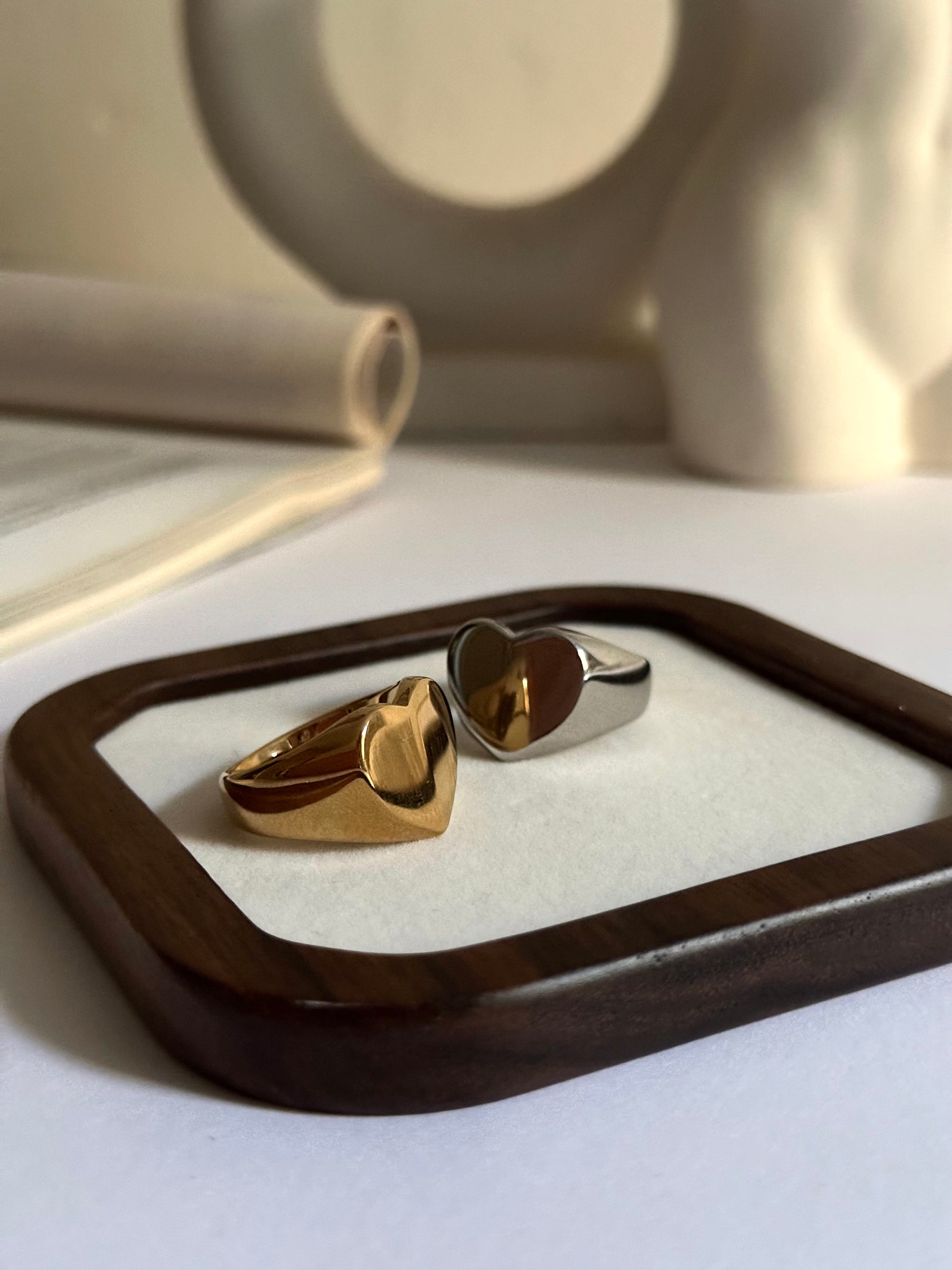 Anillo de acero inoxidable y baño de plata