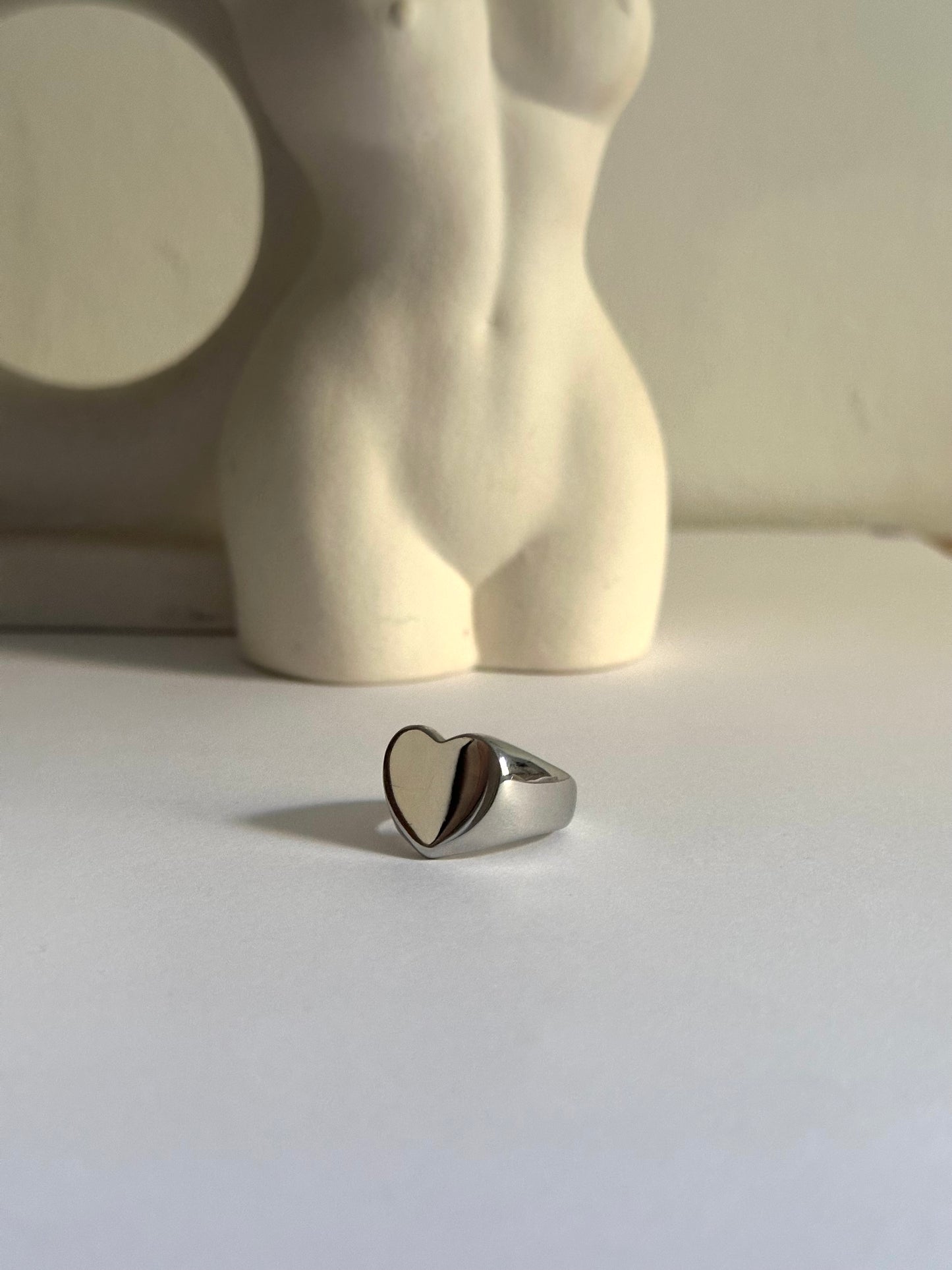 Anillo de acero inoxidable y baño de plata