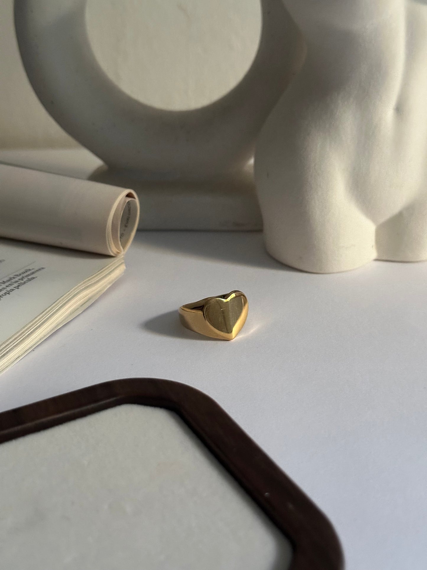 Anillo de acero inoxidable y baño de oro