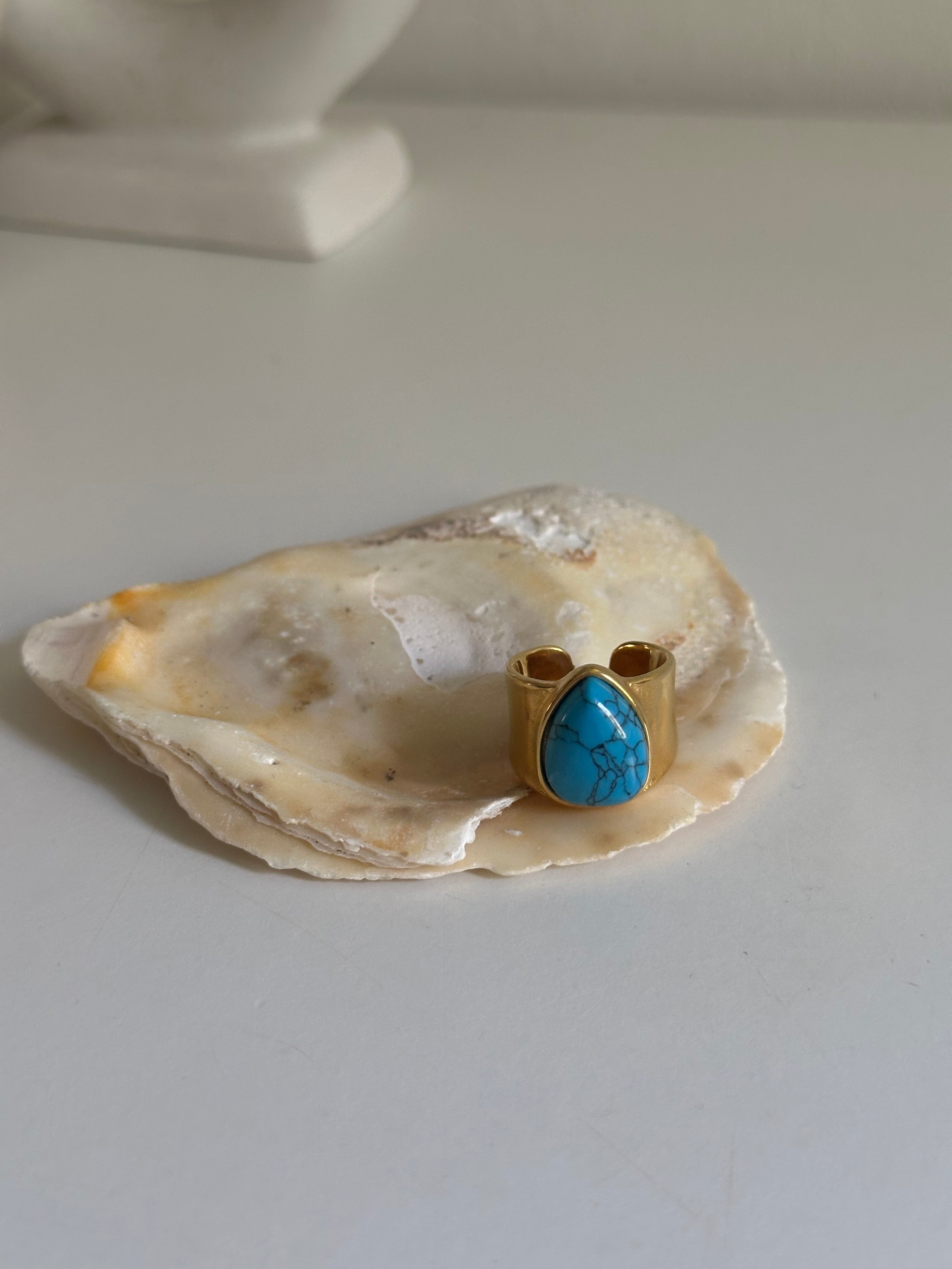 Anillo Darya