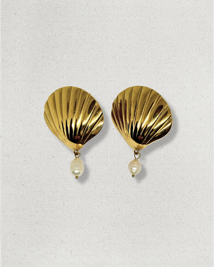 Pendientes Conchas