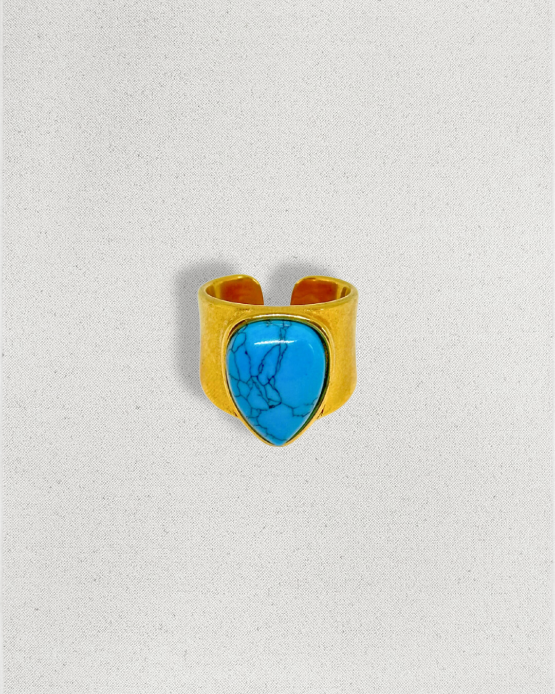 Anillo Darya