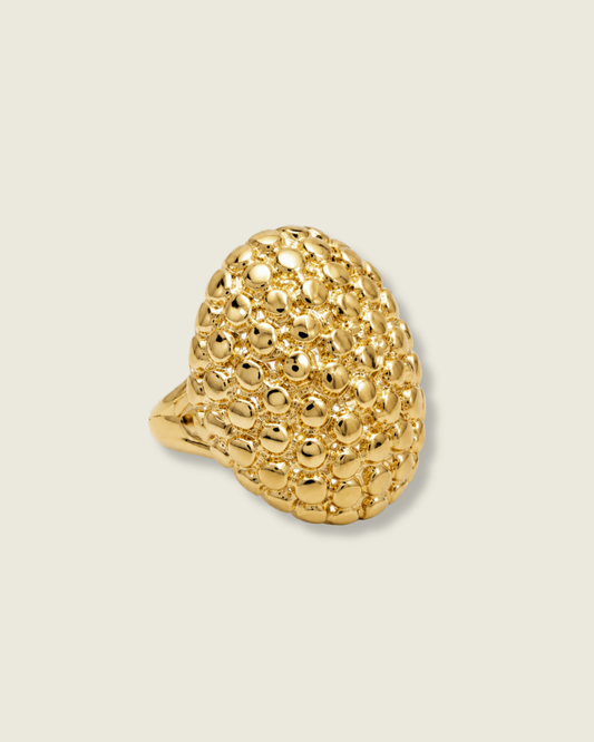 Anillo Horus