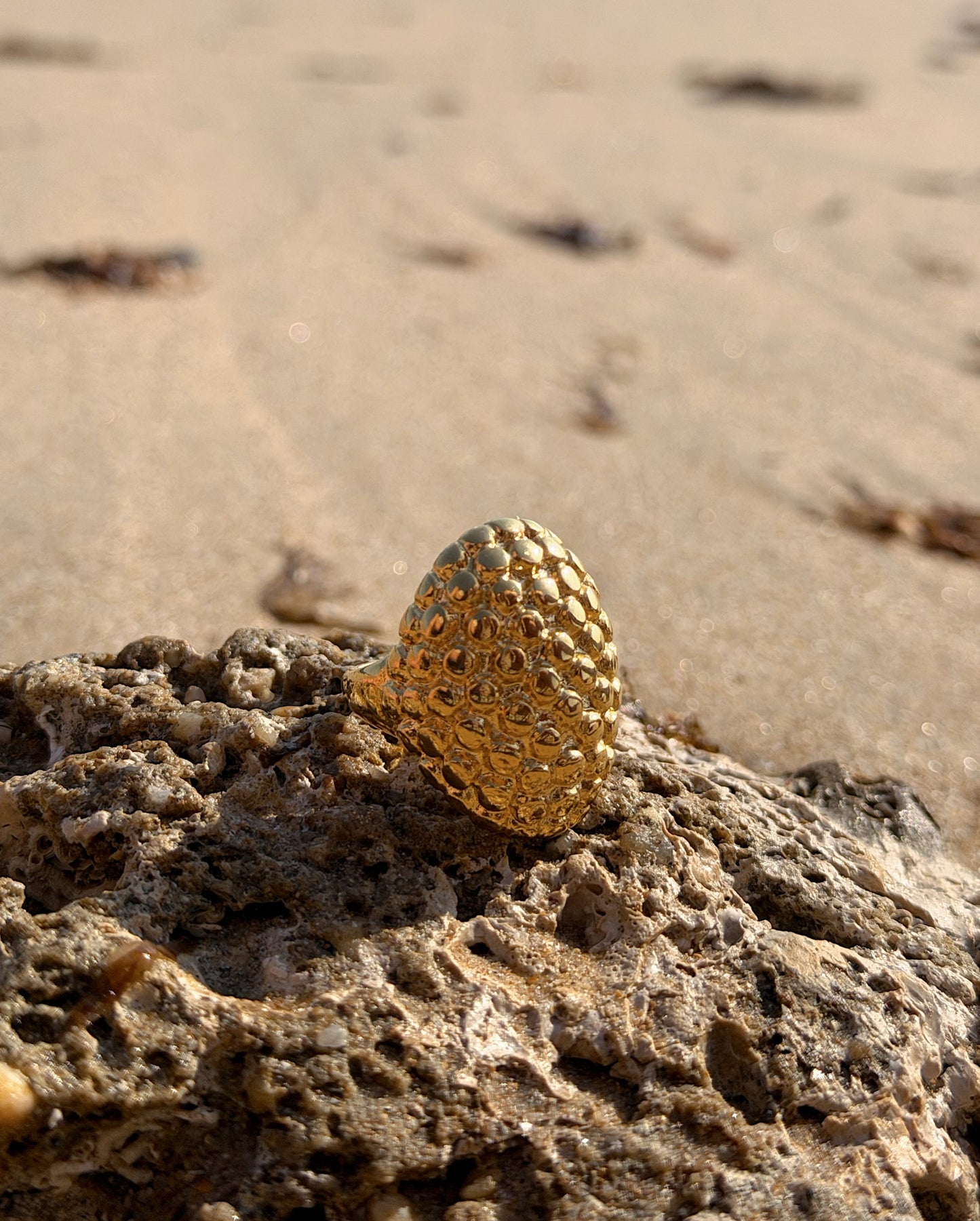 Anillo Horus