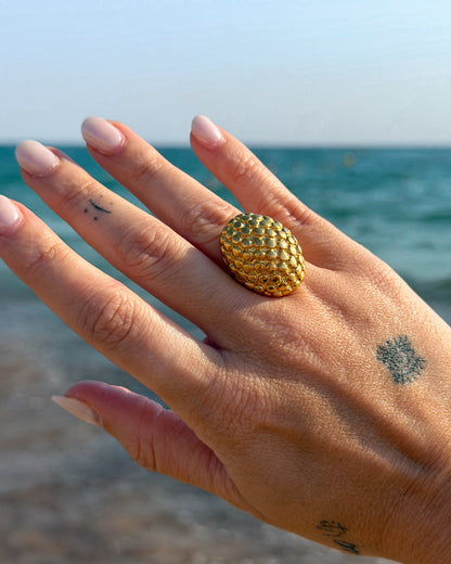 Anillo Horus