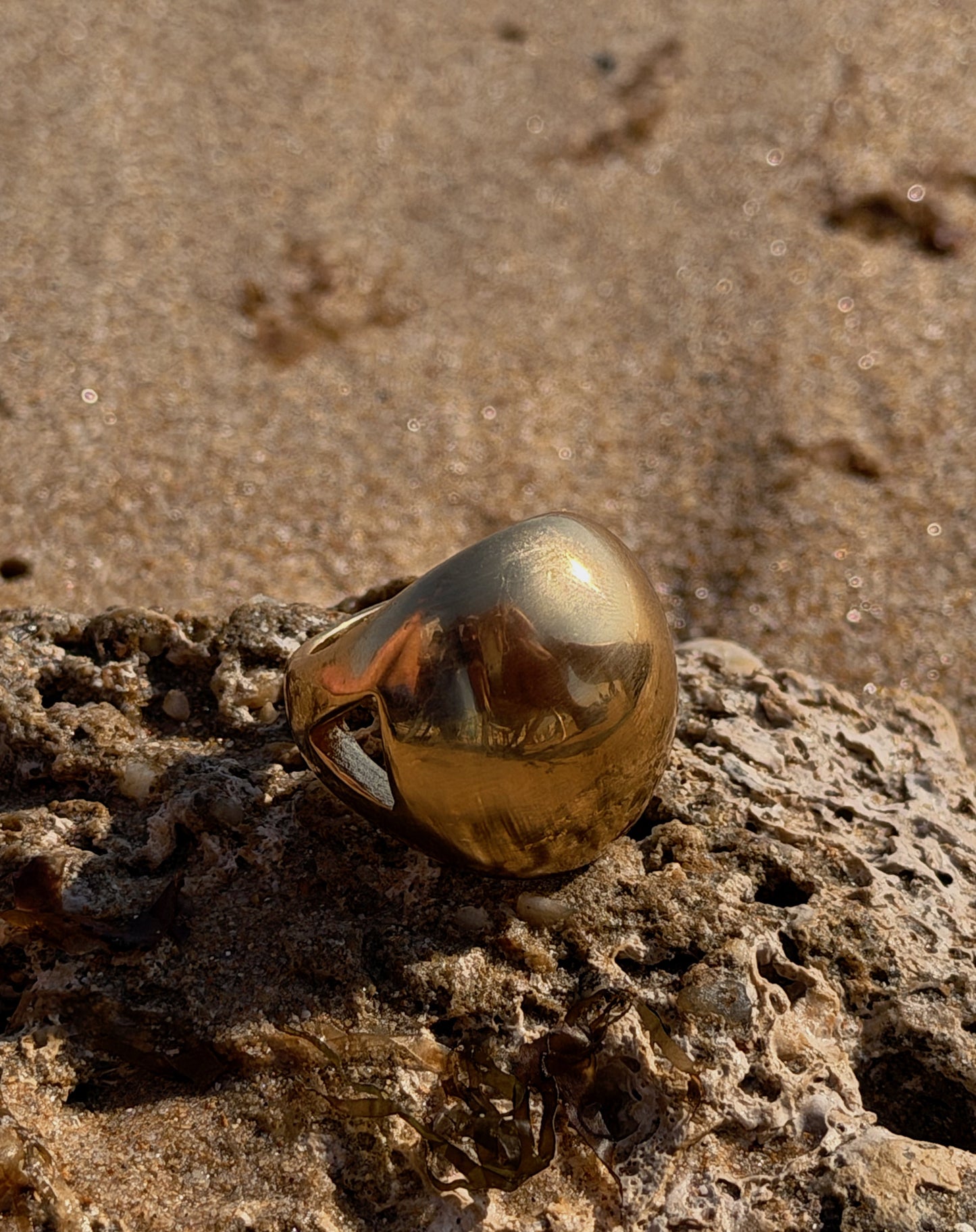 Anillo Aria