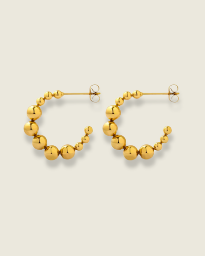 Aros Amazona