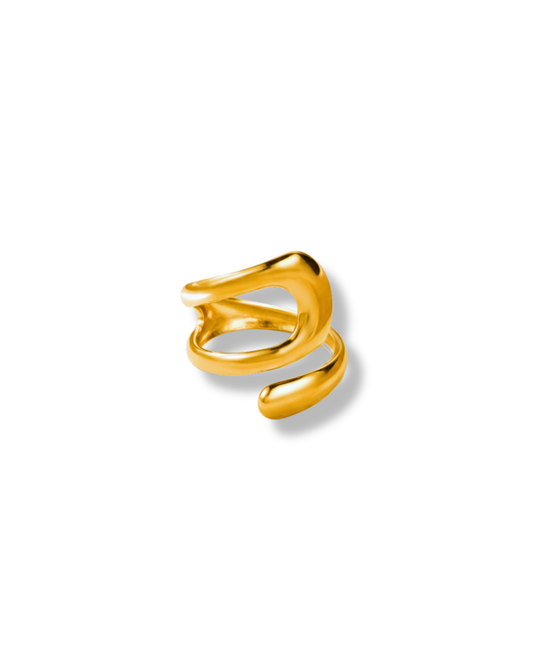 Anillo Júpiter