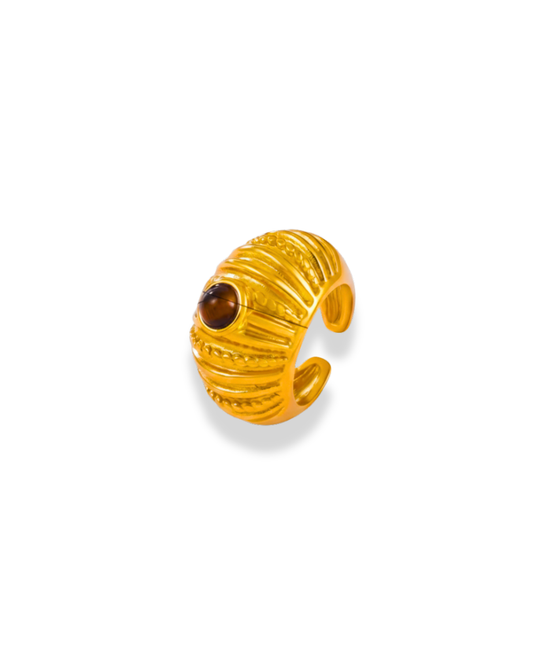 Anillo Boston