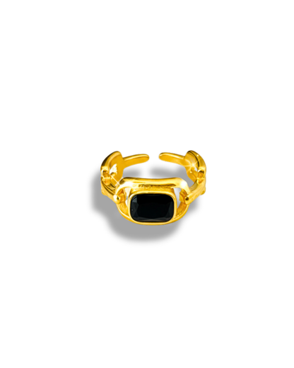 Anillo Norma