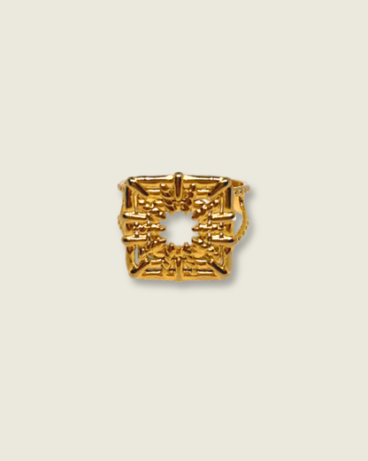 Anillo Hydra