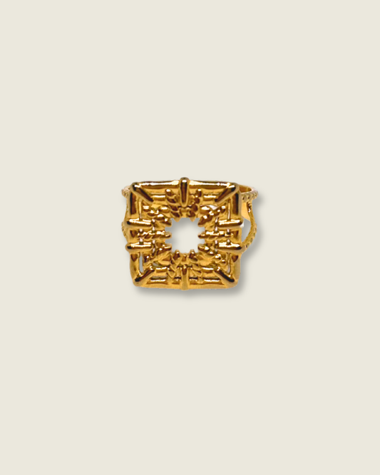 Anillo Hydra